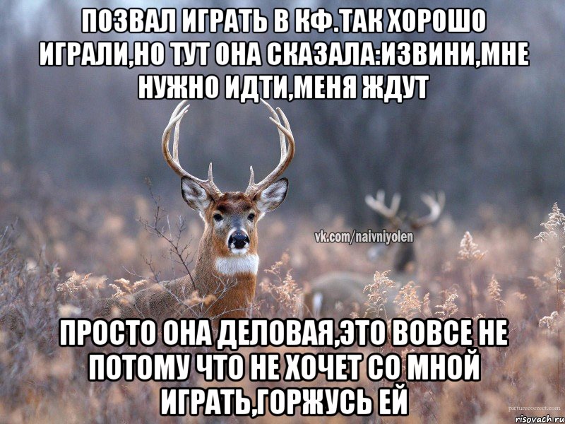 позвал играть в кф.Так хорошо играли,но тут она сказала:извини,мне нужно идти,меня ждут просто она деловая,это вовсе не потому что не хочет со мной играть,горжусь ей, Мем   Наивный олень