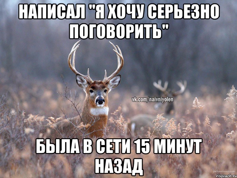 Написал "Я хочу серьезно поговорить" Была в сети 15 минут назад, Мем   Наивный олень