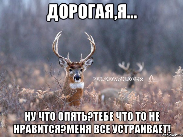 Дорогая,я... Ну что опять?Тебе что то не нравится?Меня все устраивает!, Мем   Наивный олень