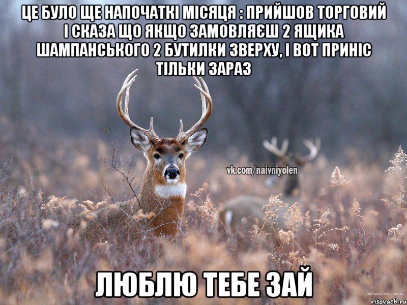 це було ще напочаткі місяця : прийшов торговий і сказа що якщо замовляєш 2 ящика шампанського 2 бутилки зверху, і вот приніс тільки зараз люблю тебе зай, Мем   Наивный олень