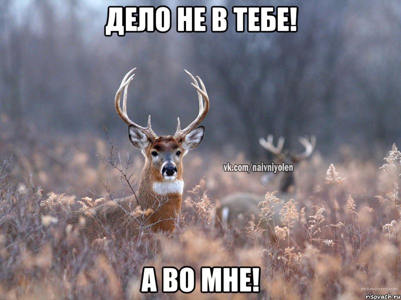 ДЕЛО НЕ В ТЕБЕ! А ВО МНЕ!, Мем   Наивный олень