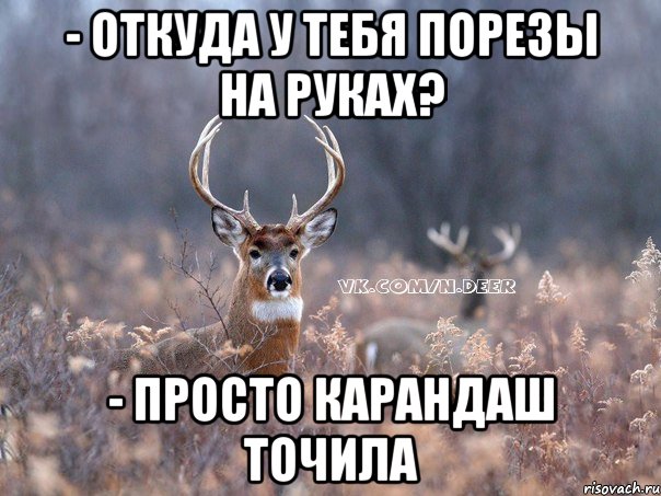 - откуда у тебя порезы на руках? - просто карандаш точила, Мем   Наивный олень