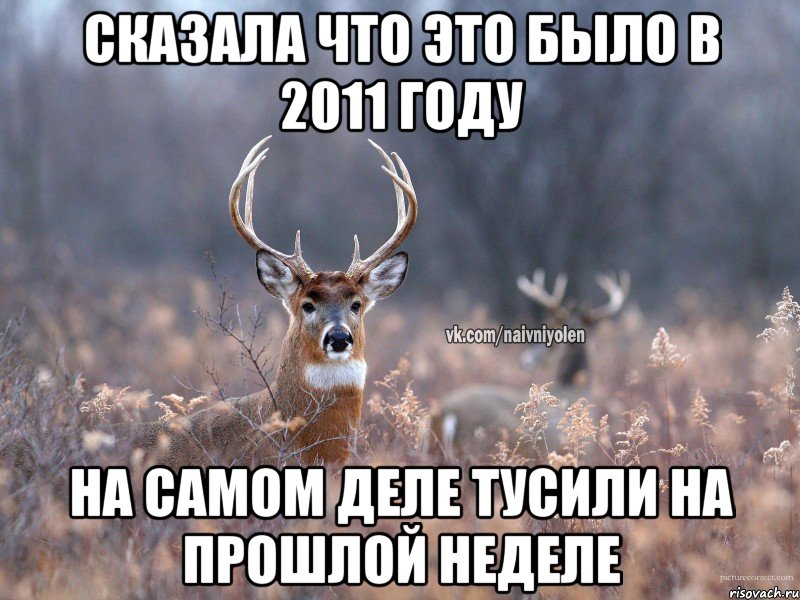 Сказала что это было в 2011 году На самом деле тусили на прошлой неделе, Мем   Наивный олень