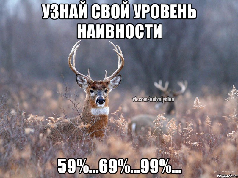 узнай свой уровень наивности 59%...69%...99%..., Мем   Наивный олень