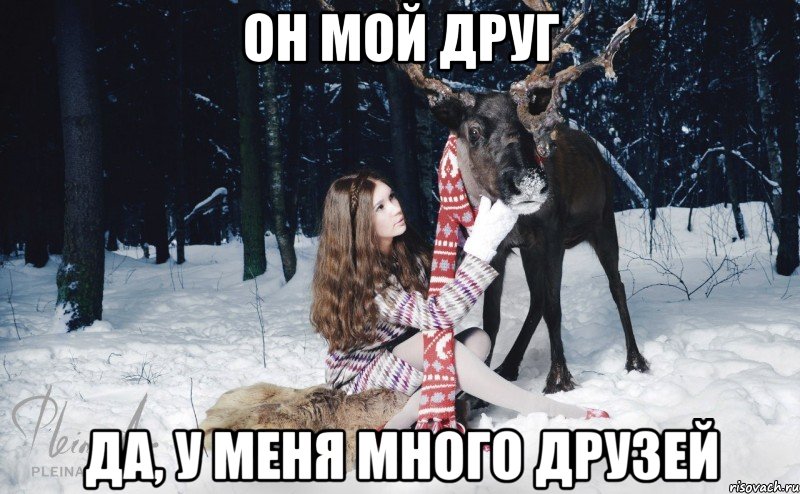 он мой друг да, у меня много друзей