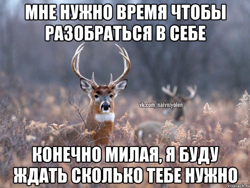 Конечно милый