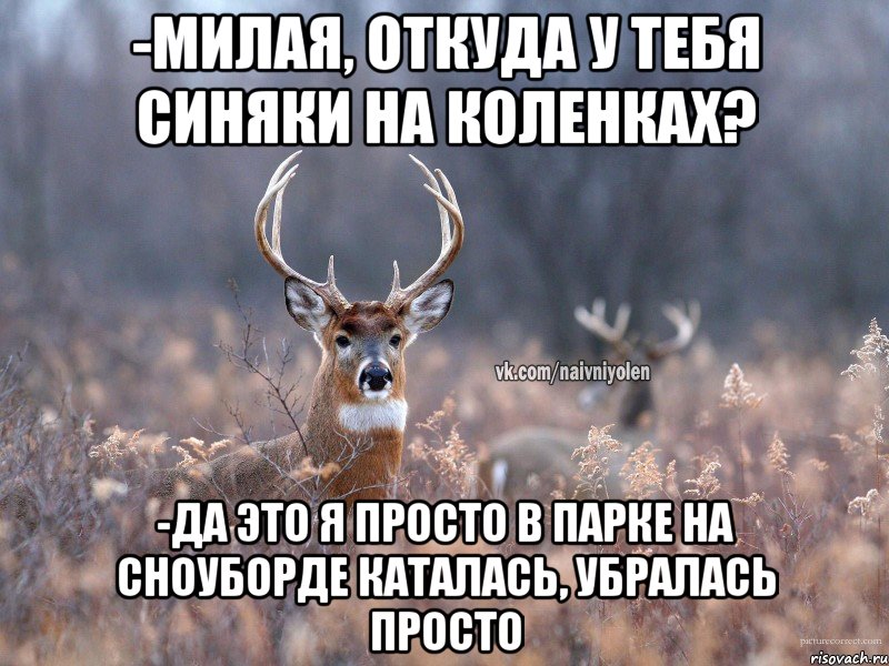 -милая, откуда у тебя синяки на коленках? -да это я просто в парке на сноуборде каталась, убралась просто, Мем   Наивный олень