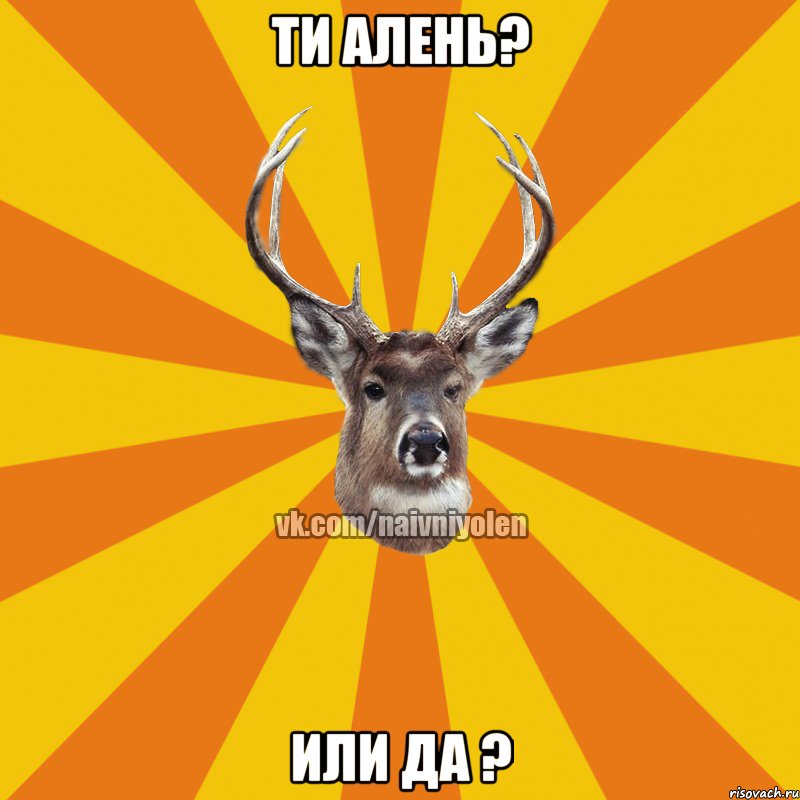 Ти алень? Или да ?