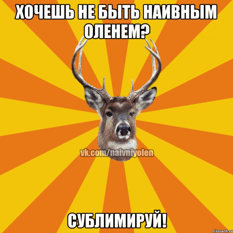 хочешь не быть наивным оленем? сублимируй!, Мем Наивный Олень вк