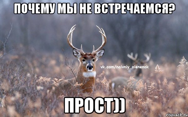 почему мы не встречаемся? прост))