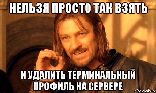 нельзя просто так взять и удалить терминальный профиль на сервере, Мем Нельзя просто так взять и (Боромир мем)