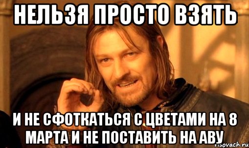 Нельзя просто взять И не сфоткаться с цветами на 8 марта и не поставить на аву, Мем Нельзя просто так взять и (Боромир мем)