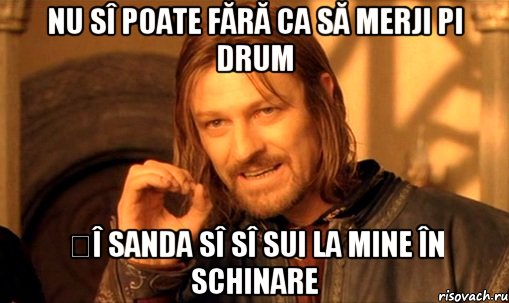 Nu sî poate fără ca să merji pi drum șî Sanda sî sî sui la mine în schinare, Мем Нельзя просто так взять и (Боромир мем)