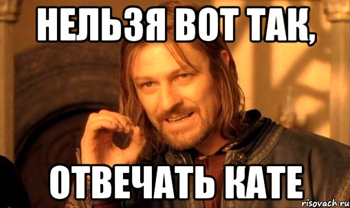 Нельзя вот так, отвечать Кате, Мем Нельзя просто так взять и (Боромир мем)