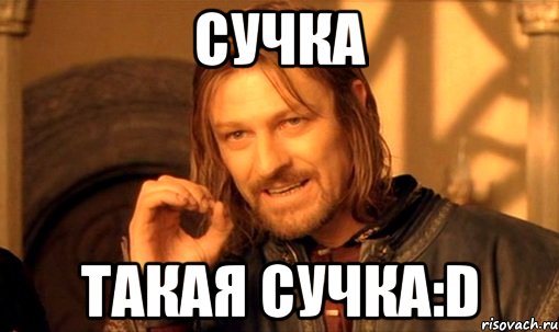 Сучка Такая сучка:D, Мем Нельзя просто так взять и (Боромир мем)