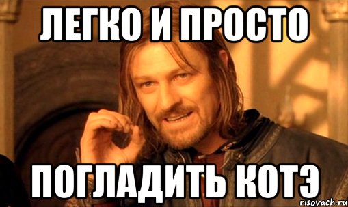 Легко и Просто погладить котэ, Мем Нельзя просто так взять и (Боромир мем)