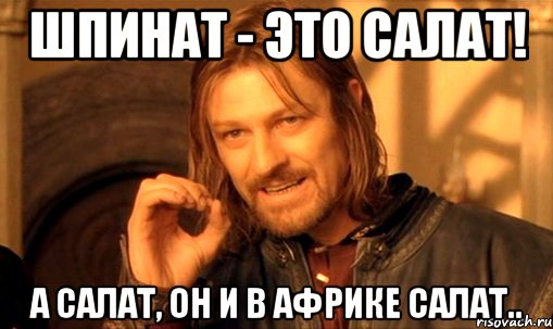 Шпинат - это салат! А салат, он и в Африке Салат.., Мем Нельзя просто так взять и (Боромир мем)