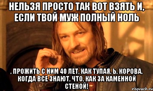 Нельзя просто так вот взять и, если твой муж полный ноль , прожить с ним 40 лет, как тупая, Ь, корова, когда все знают, что, как за каменной стеной!, Мем Нельзя просто так взять и (Боромир мем)