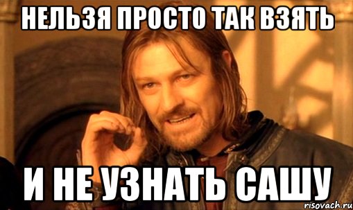 Нельзя просто так взять и не узнать Сашу, Мем Нельзя просто так взять и (Боромир мем)