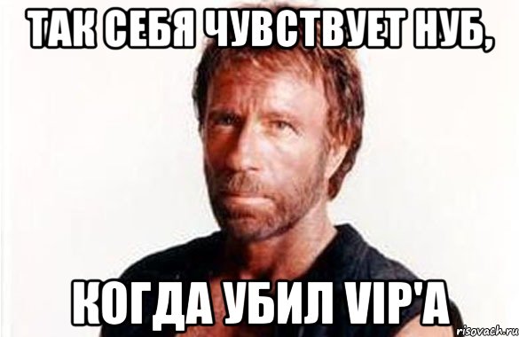 Так себя чувствует нуб, когда убил VIP'а, Мем олдскул