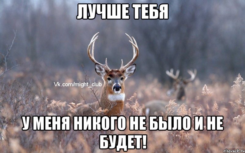 Лучше тебя у меня никого не было и не будет!, Мем   Наивный олень