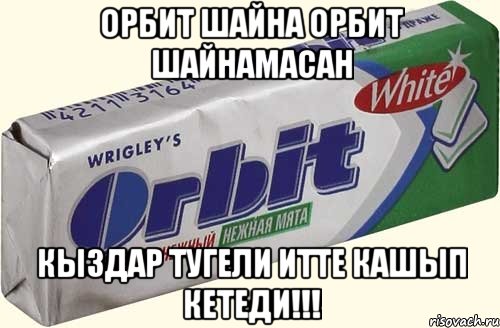 орбит шайна орбит шайнамасан кыздар тугели итте кашып кетеди!!!, Мем орбит