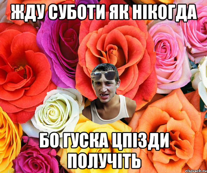 Жду суботи як нікогда бо Гуска цпізди получіть, Мем  пацанчо