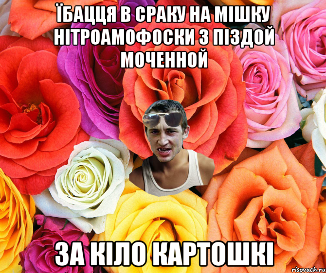 їбацця в сраку на мішку нітроамофоски з піздой моченной за кіло картошкі, Мем  пацанчо