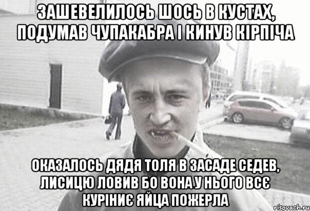 зашевелилось шось в кустах, подумав чупакабра і кинув кірпіча оказалось дядя Толя в засаде седев, лисицю ловив бо вона у нього всє куріниє яйца пожерла, Мем Пацанська философия