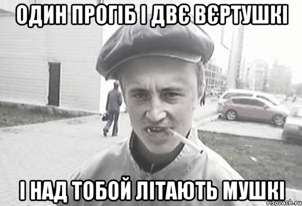 Один прогіб і двє вєртушкі і над тобой літають мушкі, Мем Пацанська философия