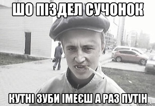 шо піздел сучонок кутні зуби імеєш а раз путін, Мем Пацанська философия