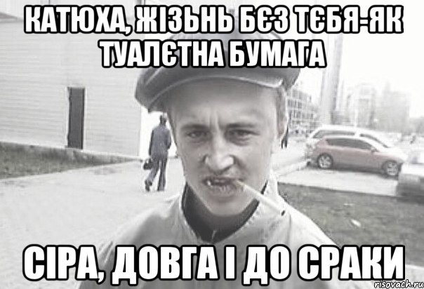 катюха, жізьнь бєз тєбя-як туалєтна бумага сіра, довга і до сраки, Мем Пацанська философия