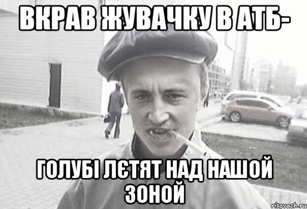 Вкрав жувачку в АТБ- голубі лєтят над нашой зоной, Мем Пацанська философия