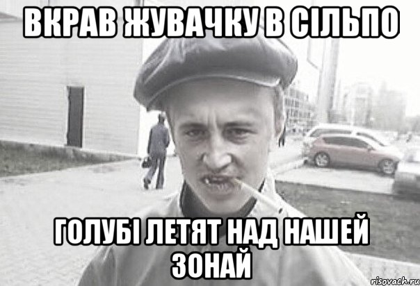 Вкрав жувачку в Сільпо Голубі летят над нашей зонай, Мем Пацанська философия