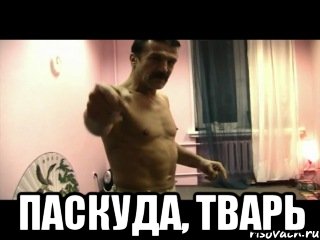  Паскуда, тварь, Мем Паскуда тварь