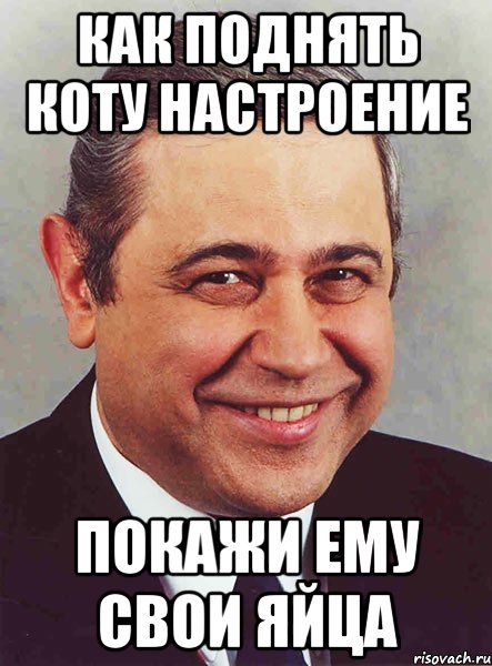 Шутишь наверное