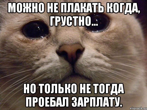 Можно не плакать когда, грустно... Но только не тогда проебал зарплату., Мем   В мире грустит один котик