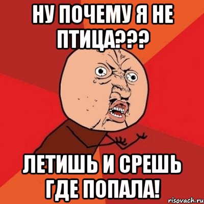 Где попало. Почему Мем. Почему я Мем. Почему он а не я Мем. Ну почему не я Мем.