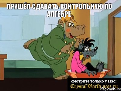 пришёл сдавать контрольную по алгебре 