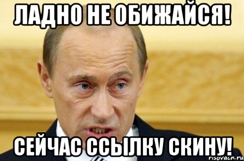 Киньте ссылку. Путин ладно Мем. Путин пельмени Мем. Не обижайся Мем Путин. Скиньте ссылку Мем.