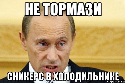 не тормази сникерс в холодильнике, Мем путин