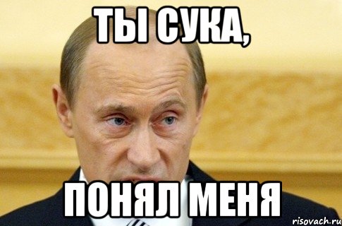 Ты сука, понял меня, Мем путин