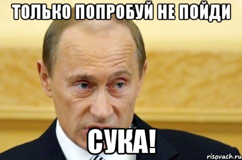 только попробуй не пойди сука!, Мем путин