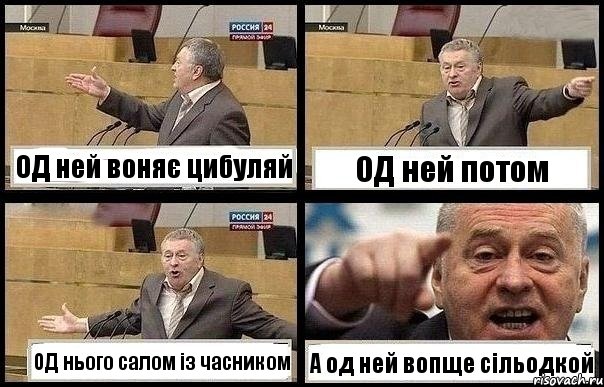 ОД ней воняє цибуляй ОД ней потом ОД нього салом із часником А од ней вопще сільодкой, Комикс с Жириновским