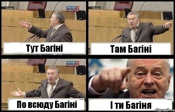 Тут Багіні Там Багіні По всюду Багіні І ти Багіня, Комикс с Жириновским