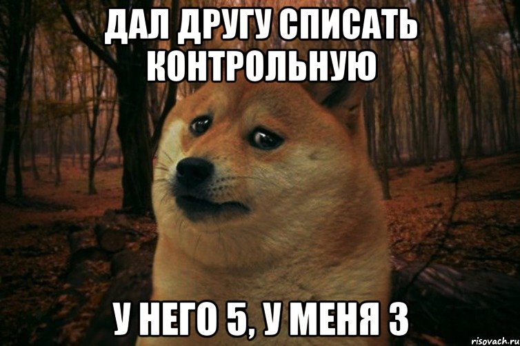 ДАЛ ДРУГУ СПИСАТЬ КОНТРОЛЬНУЮ У НЕГО 5, У МЕНЯ 3, Мем SAD DOGE