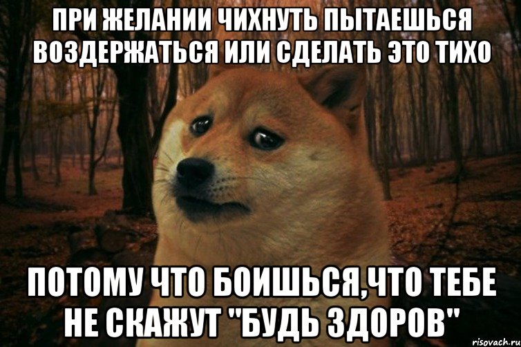 Что делать если рассказал о своих планах и теперь боишься что они не сбудутся