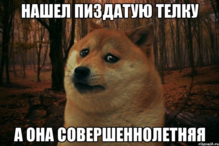 нашел пиздатую телку а она совершеннолетняя, Мем SAD DOGE