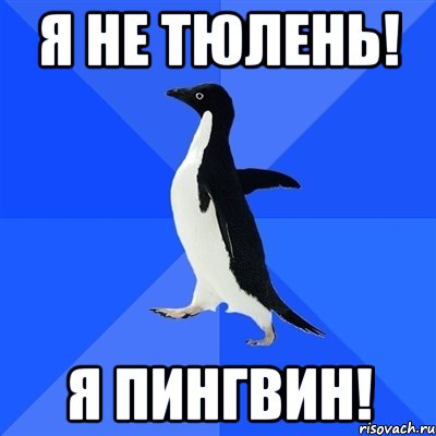 Песня про пингвинов мем. Пингвин Мем. Пингвин поклоняется Мем. Я Пингвин Мем. Всмысле Мем Пингвин.