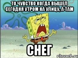 То чувство когда вышел сегодня утром на улицу, а там СНЕГ, Мем Спанч Боб плачет